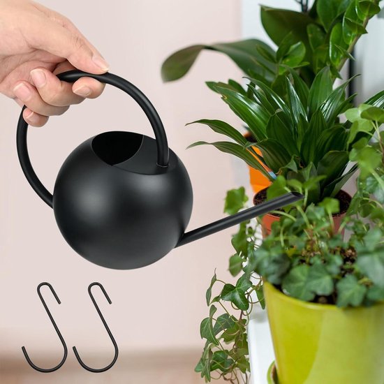 Petit Arrosoir 350 Ml En Inox – Bec Long Pour Plantes Succulentes, Bonsaï Et Intérieur - 2