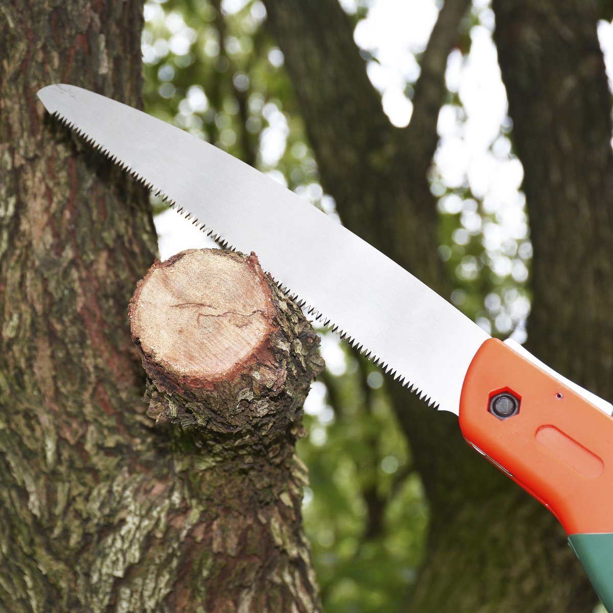 TerCasa® Scie à Main Pliante Avec Fermeture De Sécurité - Longueur De La Lame : 16 Cm - Lame De Scie En Acier Inoxydable - Pour Travaux D'élagage Et D'entretien Des Arbres - 4