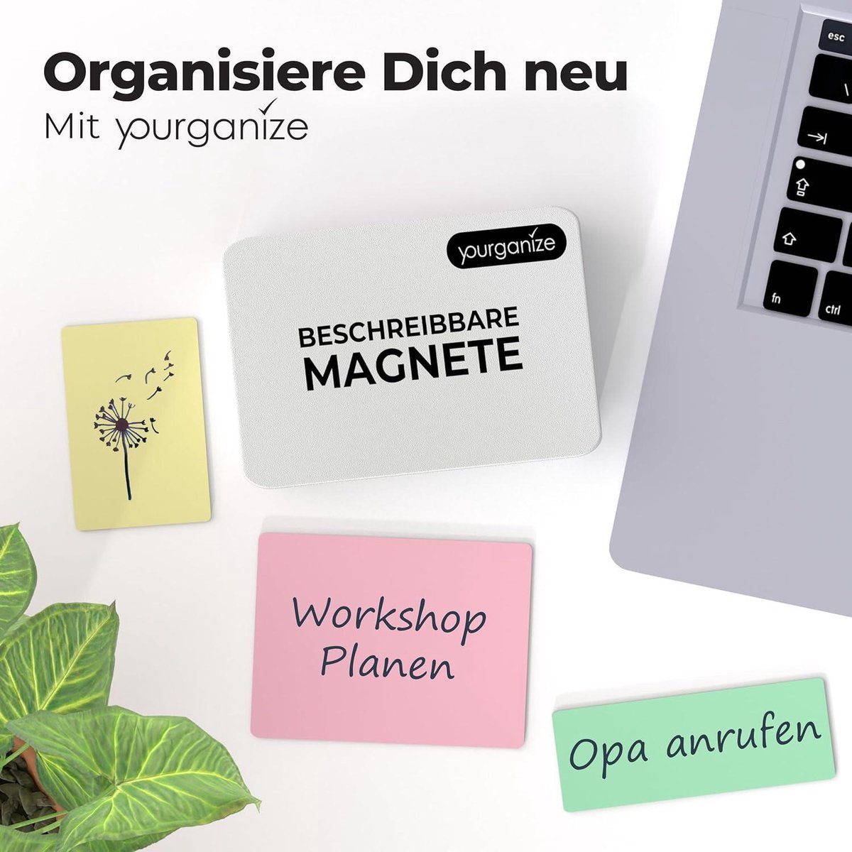 Magneetstrips - Magneten kopen? | | Lage prijs, ruime keus