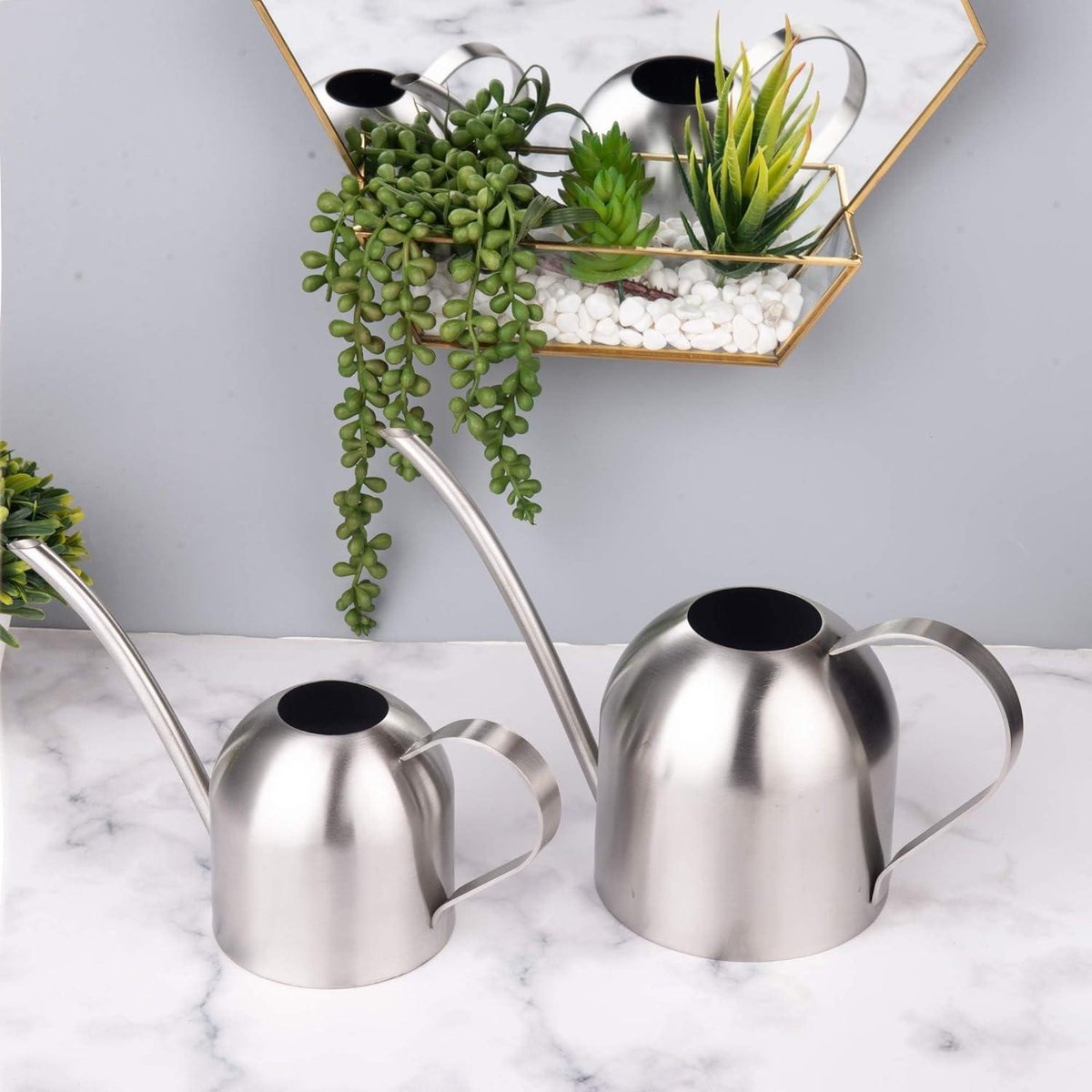 Lot De 2 Arrosoirs Pour Plantes D'intérieur – Capacité 1 Litre, Bec Long En Acier Inoxydable 24 Cm – Design Translucide Et Bec Verseur Précis – Pour Bonsaï, Jardinières, Intérieur Et Extérieur