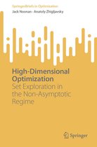 SpringerBriefs in Optimization - High-Dimensional Optimization