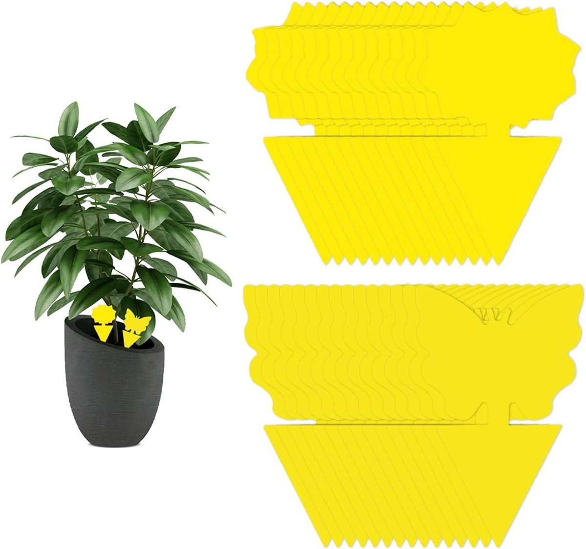 Vliegenvanger voor binnen - 30 stuks insectenvallen - muggenval voor keuken - insectenval met plakkerige bug catchers - plug-in vliegenval - gele platen sticker voor planten