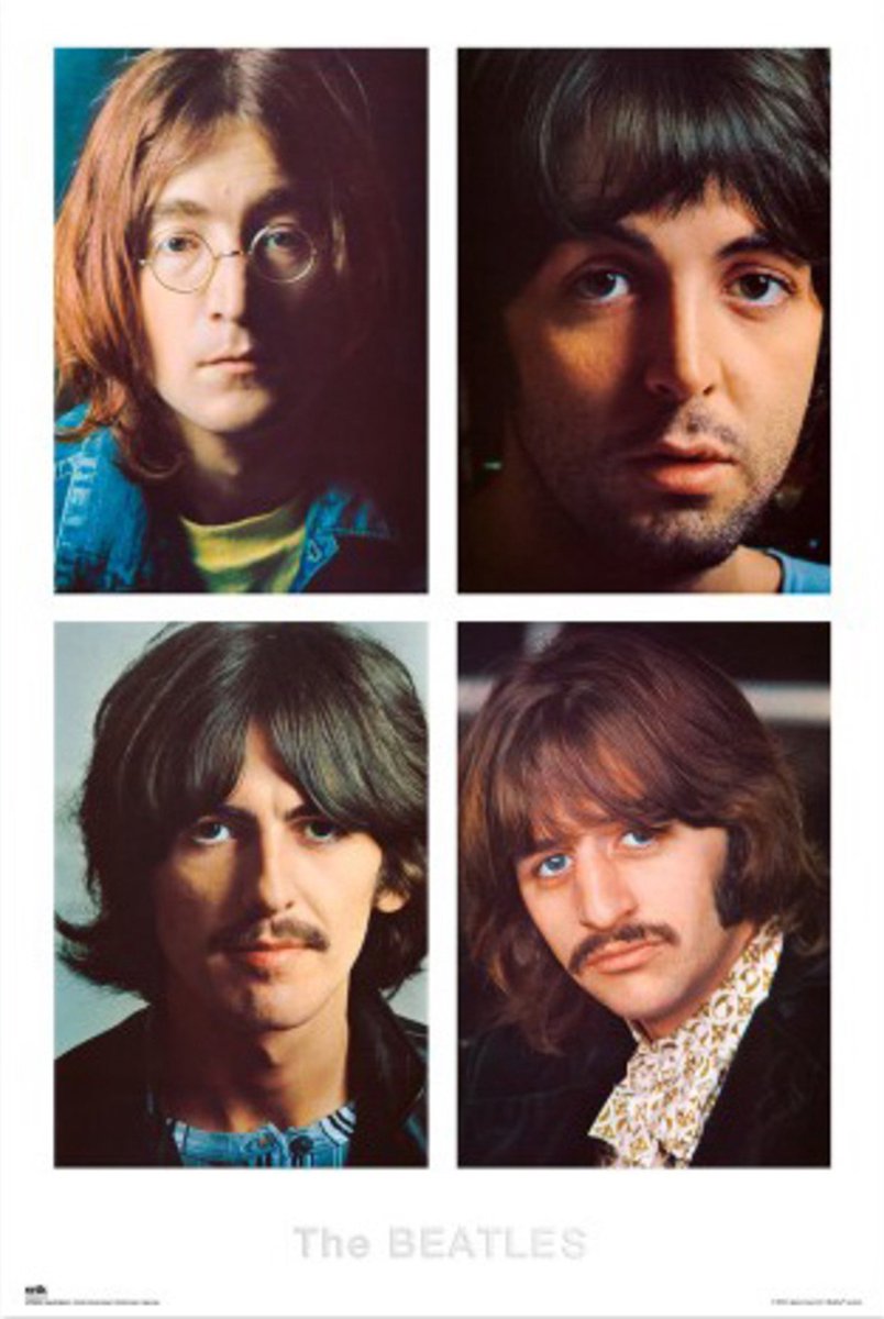Grupo Erik Poster The Beatles - White Album 61x91,5 cm Divers