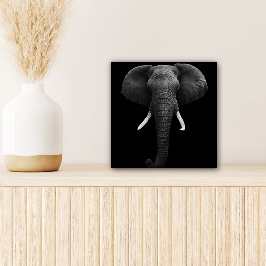 Canvas - Dieren - Olifant - Zwart - Wit - Muurdecoratie - 20x20 cm - Foto op canvas - Canvas schilderijen woonkamer