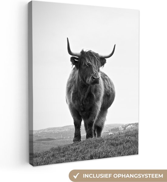 Canvas - Dieren - Schotse hooglander - Koe - Gras - Natuur - Woonkamer - Canvas schilderij - 30x40 cm - Woondecoratie - Canvas doek