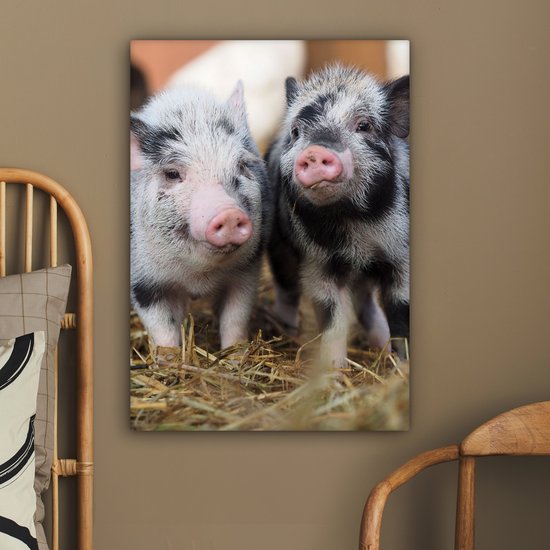 Canvas schilderij 60x80 cm - Wanddecoratie Varken - Dieren - Varkentje - Muurdecoratie woonkamer - Slaapkamer decoratie - Kamer accessoires - Schilderijen
