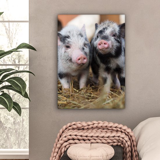 Canvas schilderij 60x80 cm - Wanddecoratie Varken - Dieren - Varkentje - Muurdecoratie woonkamer - Slaapkamer decoratie - Kamer accessoires - Schilderijen