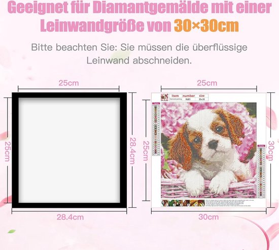 Diamond Painting Fotolijst, 2 stuks, 30 x 30 cm, zwarte magnetische lijst, accessoires voor diamantschilderij, muurdecoratie, koelkast, deur en raam Diamond Painting Fotolijst, 2 stuks, 30 x 30 cm, zwarte magnetische lijst, accessoires voor diamantschilderij, muurdecoratie, koelkast, deur en raam