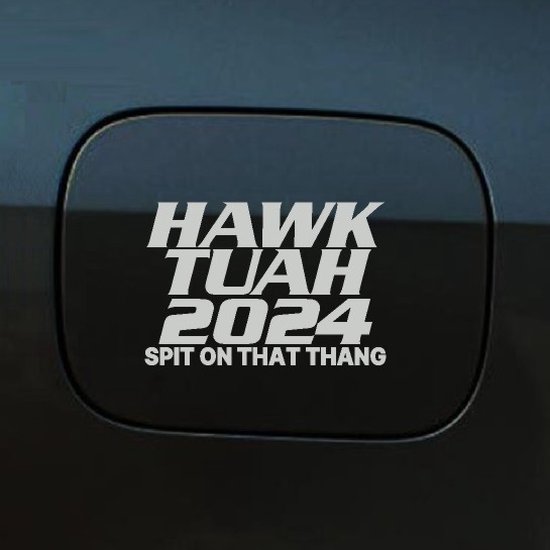 Autocollant pour pare-chocs - Hawk Tuah 2024 - 20x13 - Grijs clair