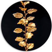 Tak rond schilderij - Plant schilderij rond - Wandschalen Achtergrond - Klassieke schilderijen - Muurcirkel - Wanddecoratie woonkamer muurcirkel aluminium 70x70 cm