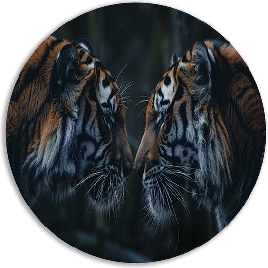 Cercles muraux Jaguar - Décoration murale Animaux ronde - Cercles muraux Fond - Tableaux classiques - Décoration murale ronde - Tableau mural cercle forex 90x90 cm