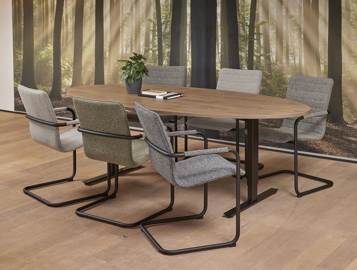 ABC Kantoormeubelen Vergadertafel Teez ellips 220x110cm frame Antraciet (Ral 7016) blad Lichtgrijs