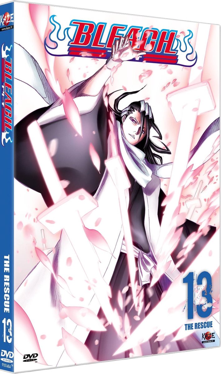 Bleach 13