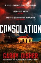The Paul Hirsch mysteries 3 - Consolation