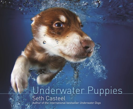 Underwater Puppies - cover