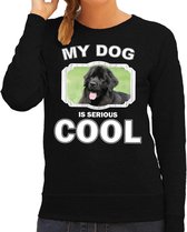 Newfoundlander  honden trui / sweater my dog is serious cool zwart - dames - Newfoundlanders liefhebber cadeau sweaters L