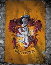 HARRY POTTER - Mini Poster 40X50 - Gryffindor Flag