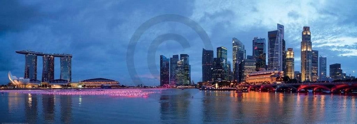 PGM Kunstdruk Shutterstock - Panorama of Singapore 95x33cm Divers