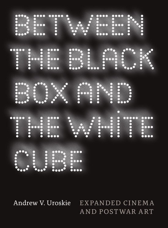 Between the Black Box and the White Cube - cover
