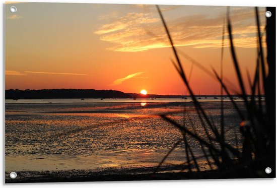 Tuinposter – Ondergaande Zon bij Zee En Gras - 90x60cm Foto op Tuinposter  (wanddecoratie voor buiten en binnen)