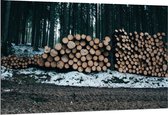 Dibond - Opgestapeld hout in het Bos - 150x100cm Foto op Aluminium (Met Ophangsysteem)