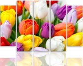 Schilderij , Gekleurde Tulpen , 4 maten , 5luik, multikleur , wanddecoratie , XXL