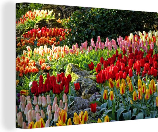 Canvas Schilderij Gekleurde tulpen in de Keukenhof in Nederland - 30x20 cm - Wanddecoratie