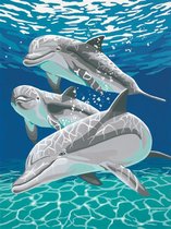 Dolfijnen Schilderen op nummer