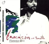 Flamenco Vivo