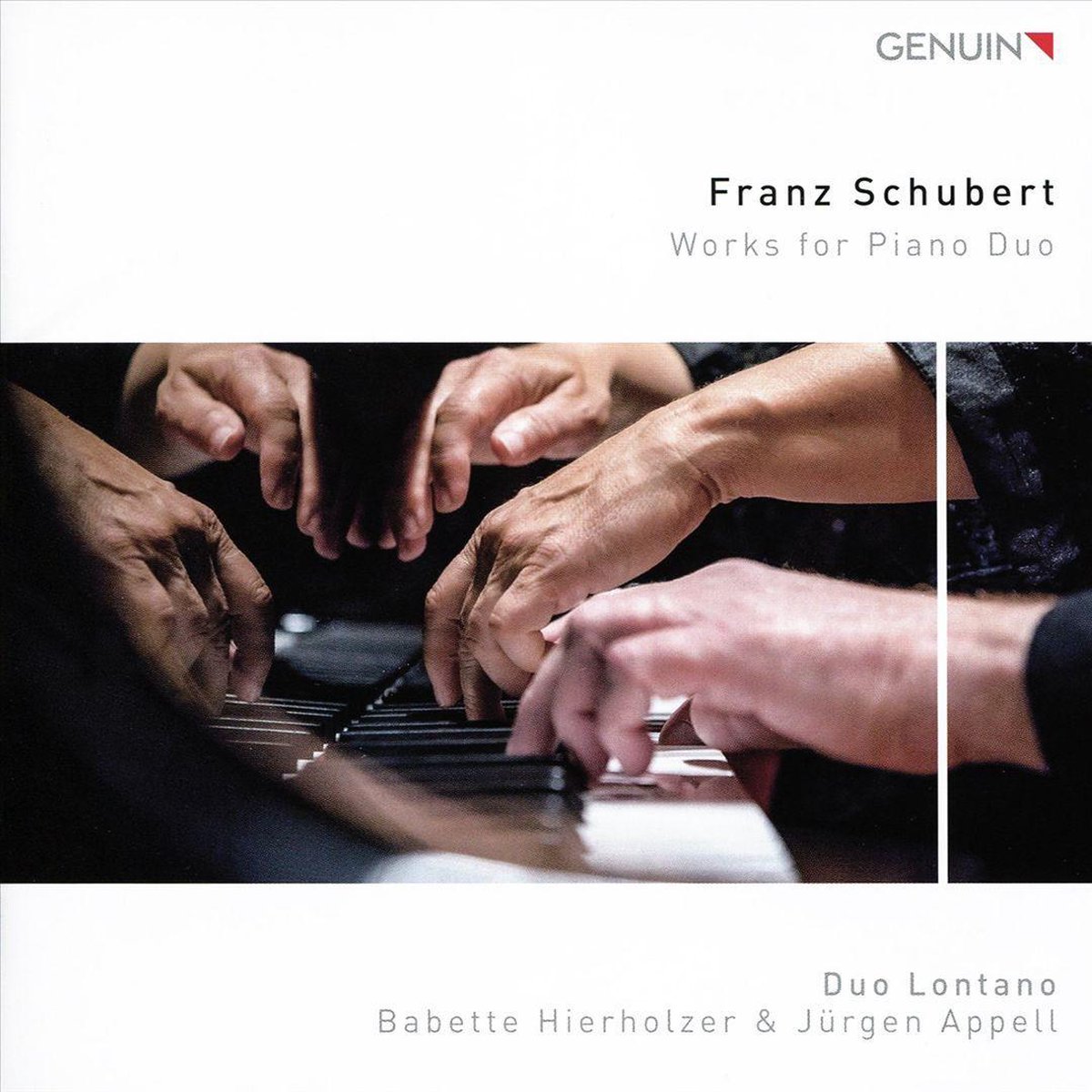 Schubert Works For Piano Duo