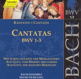J. S. Bach: Cantatas BWV 1-3 / Nielsen, Auger, Rilling