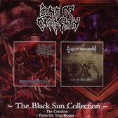 Black Sun Collection
