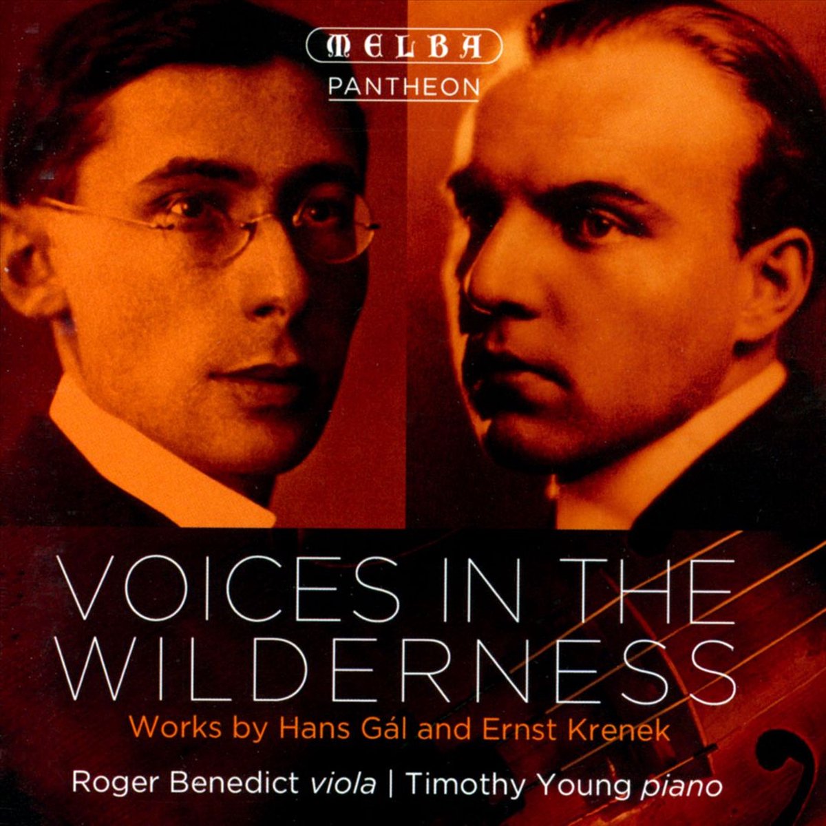 Voices In The Wilderness