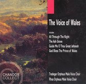 Rhos Orpheus Mals Voice Choir, Williams, Tredegar Orpheus Male Voice Choir - The Voice Of Wales (CD)