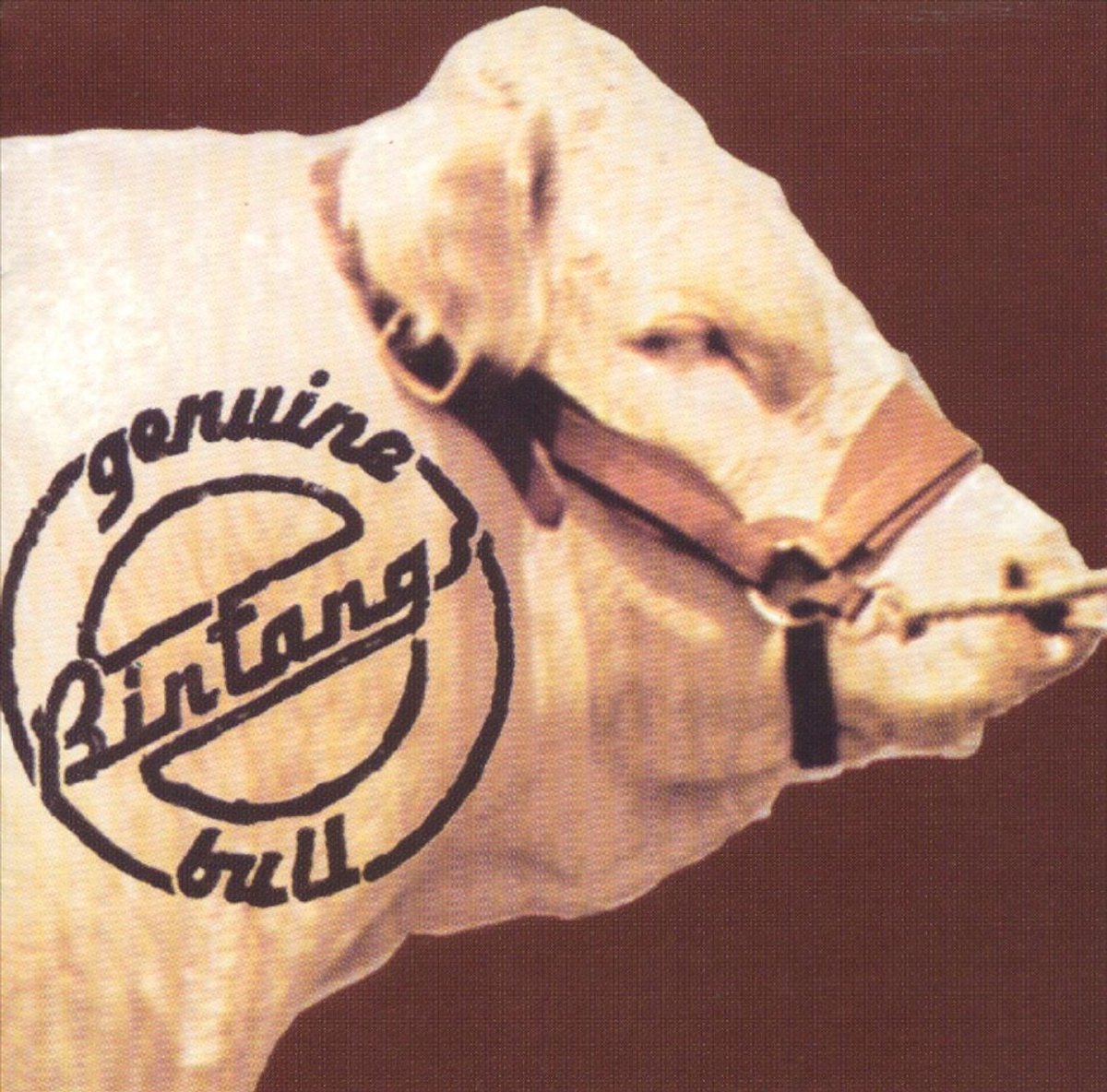 Genuine Bull