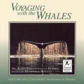 Nature Recordings: Voyaging with the Whales