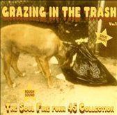 Grazing in the Trash, Vol. 1