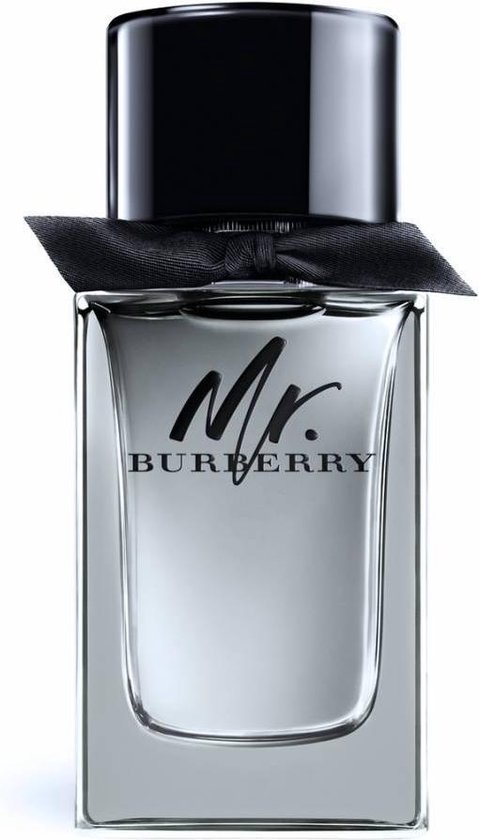 Burberry - Mr.Burberry for Men - Eau De Parfum - 100ML | bol