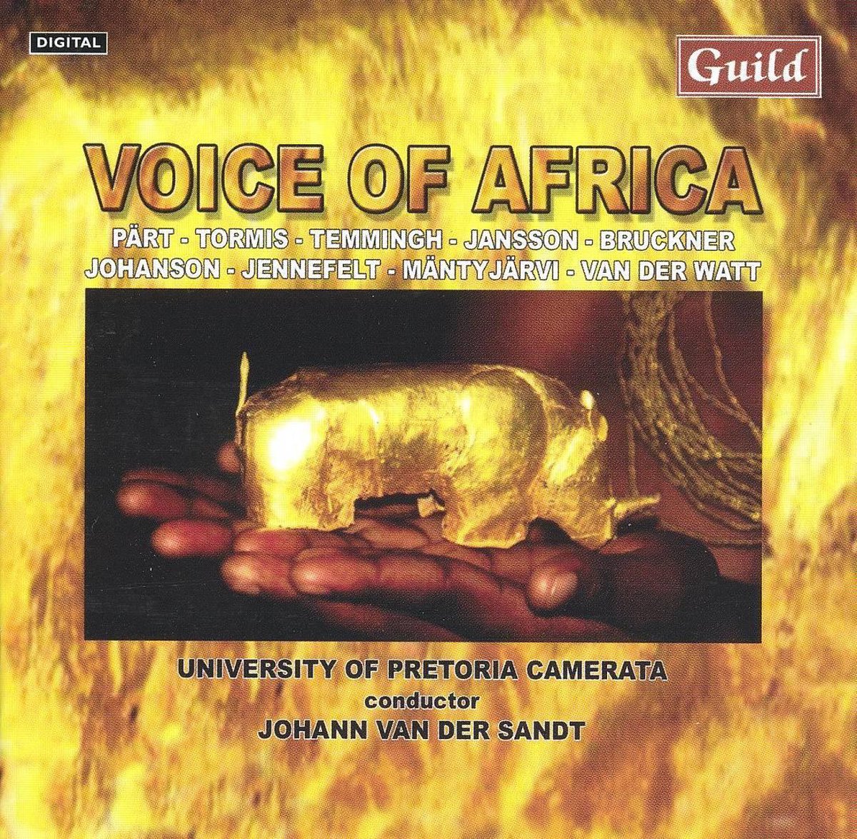 Voice Of Africa