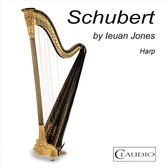 Schubert by Ieuan Jones