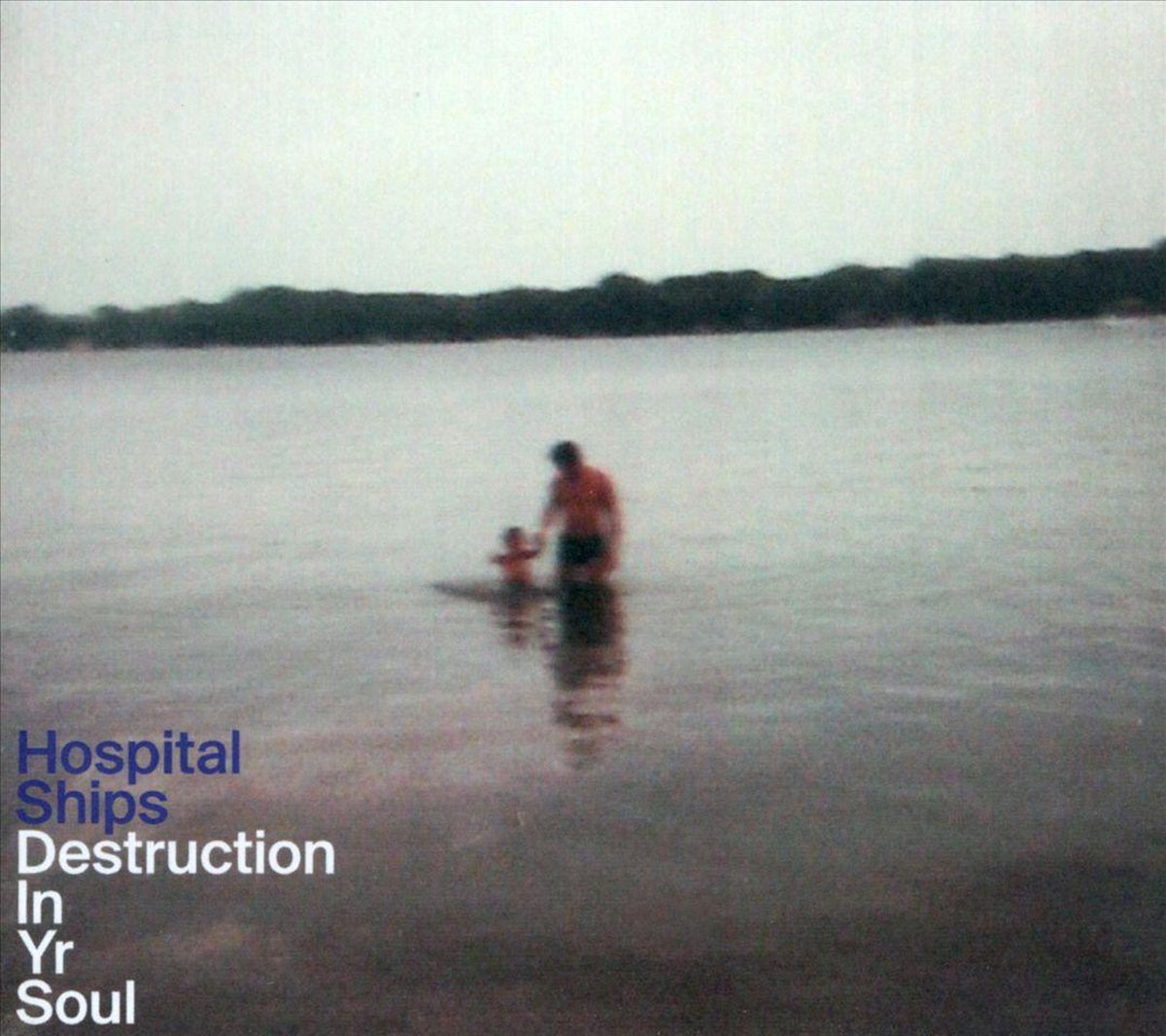 Destruction In Yr Soul - Hospital Ships