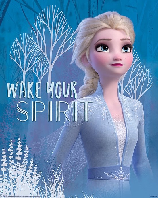 Neuken Beheer Houden Disney Poster - Frozen : Wake Your Spirit - 50 X 40 Cm - Multicolor |  bol.com