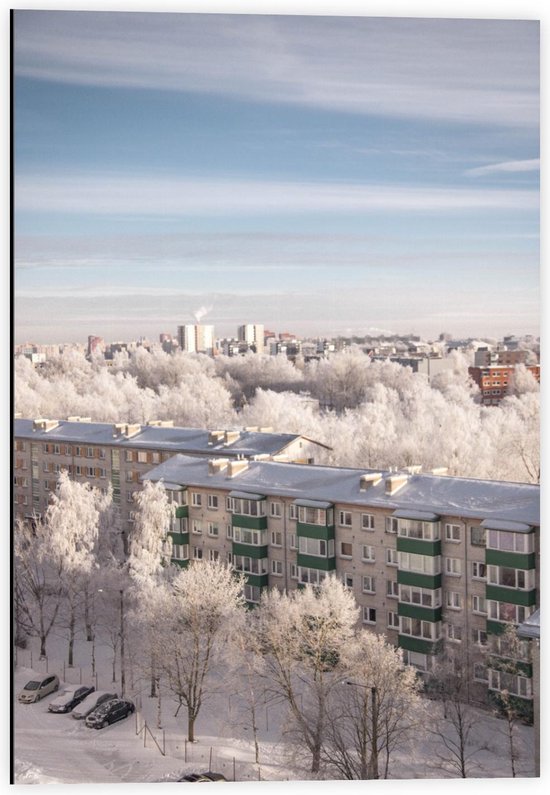 Dibond - Dorp tijdens Winter - 40x60cm Foto op Aluminium (Met Ophangsysteem)