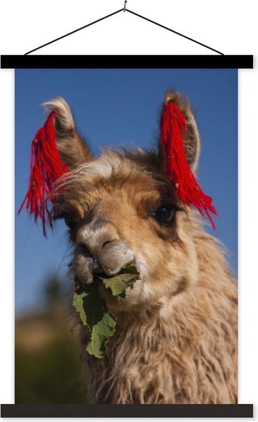 Laatste Veilig bijtend Versierde lama met pluimen textielposter latten zwart 60x90 cm - Foto print  op... | bol.com