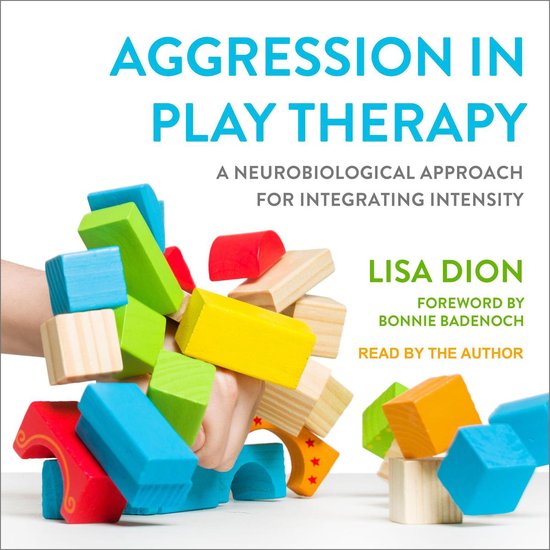 Aggression in Play Therapy - cover