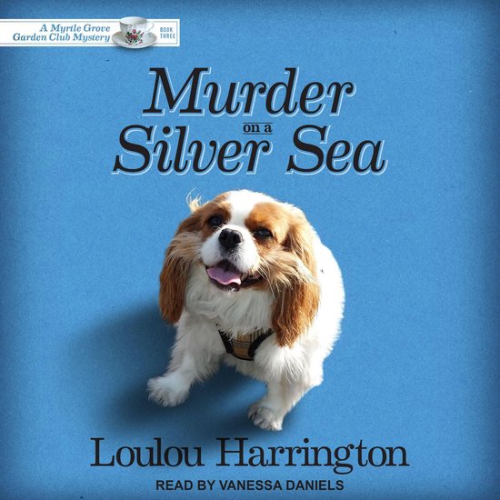 Murder on a Silver Sea - cover