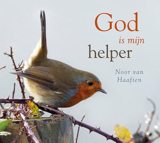 God is mijn helper - cover