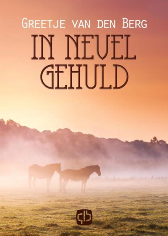 In nevel gehuld - cover