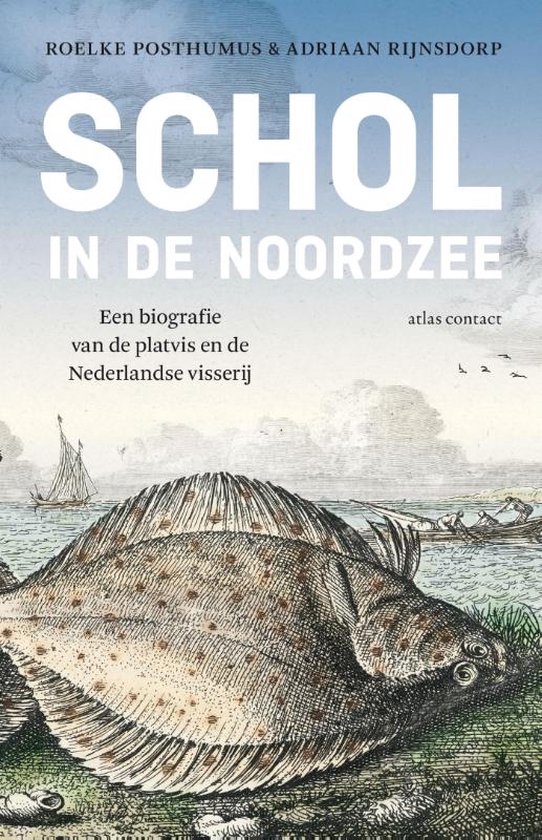 Schol in de Noordzee - cover