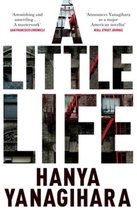 Omslag Little Life